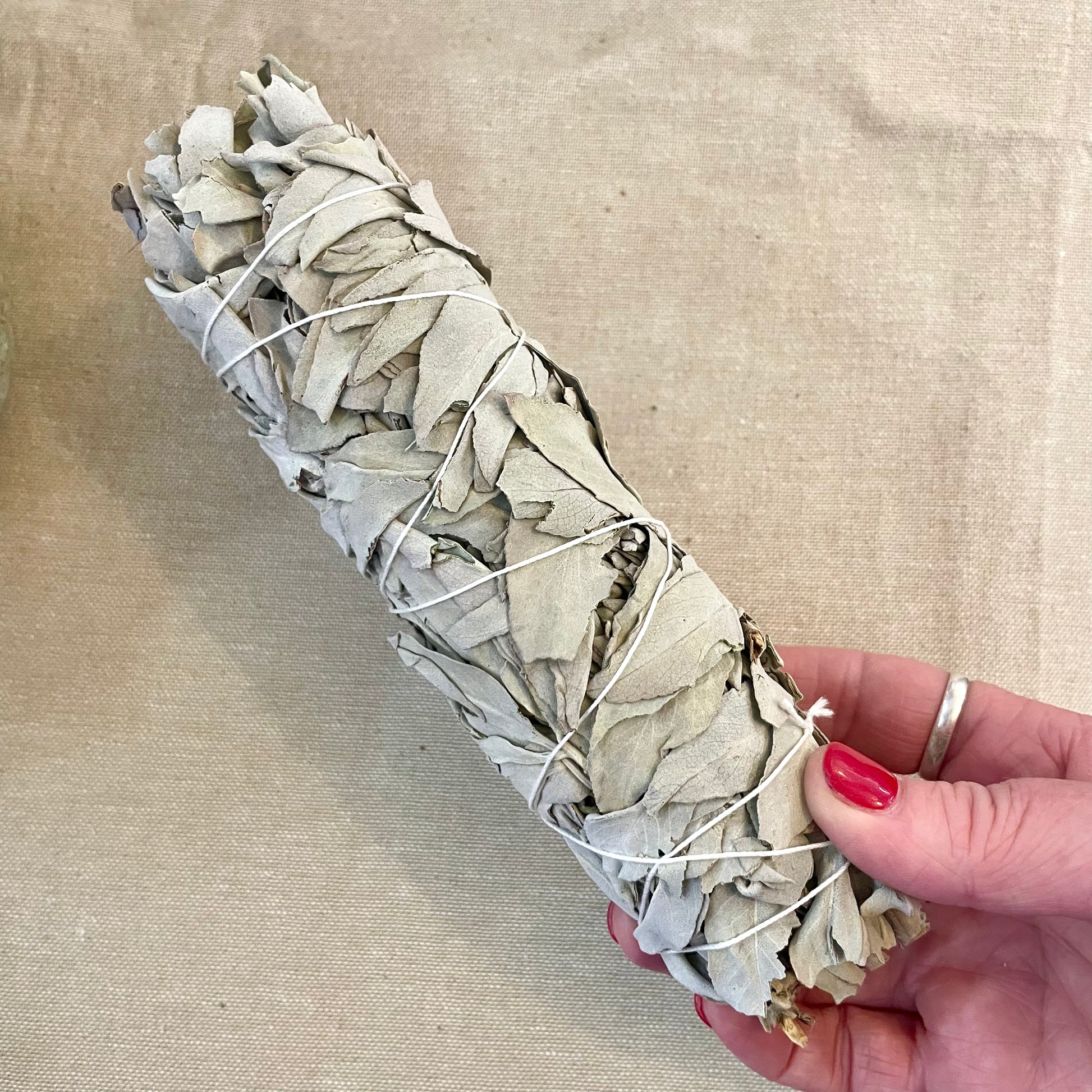 Hand holding a White Sage Smudge Stick 18cm