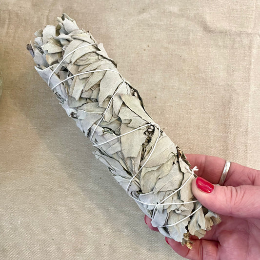 Hand holding a White Sage Smudge Stick 18cm