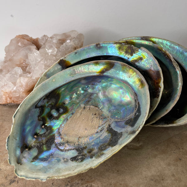 Four Abalone Shells sitting on a stone bench in front of a crystal cluster.